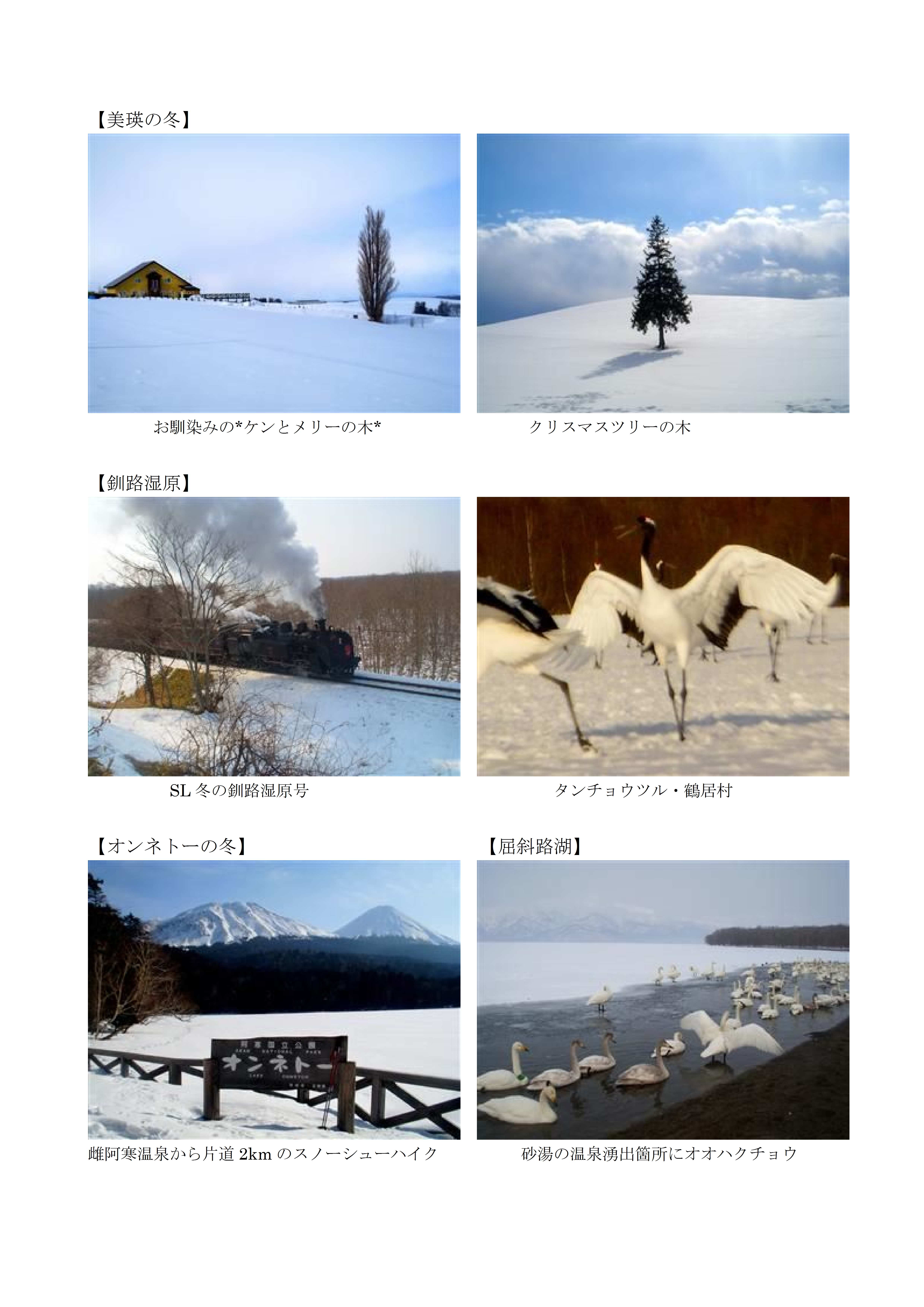 冬の北海道へ行きませんか・・・♪　2011-1-3.jpg